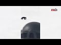 Niedźwiedź na stoku narciarskim (Zakopane, 2019)